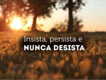 Blog do Jorge Neto: Nunca desista!