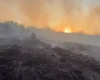 Onze hectares são consumidos pelo fogo na zona rural