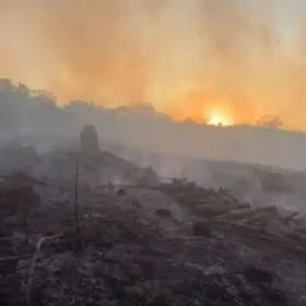 Onze hectares são consumidos pelo fogo na zona rural