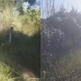 Morador reclama de mato alto na Av. Autorama, em Divinópolis