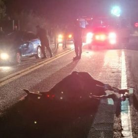 Homem fica ferido após acidente entre carro, moto e cavalo em Formiga