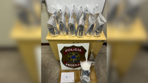 Oliveira: Polícia Federal apreende drogas enviadas pelos Correios